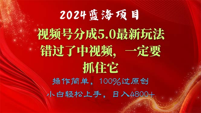 （11032期）2024蓝海项目，视频号分成计划5.0最新玩法，错过了中视频，一定要抓住…-玩备项目资源网