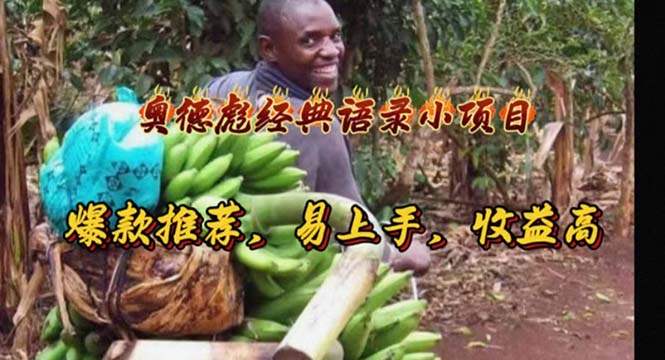 （11030期）奥德彪经典语录小项目，爆款推荐，易上手，收益高-玩备项目资源网