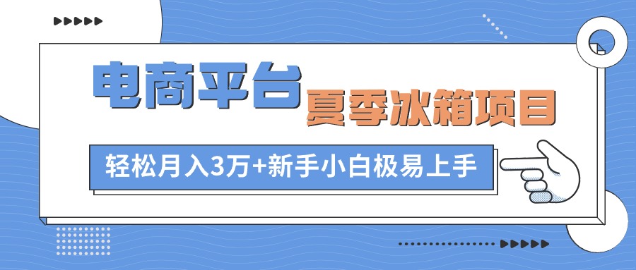 （10934期）电商平台夏季冰箱项目，轻松月入3万+，新手小白极易上手-玩备项目资源网