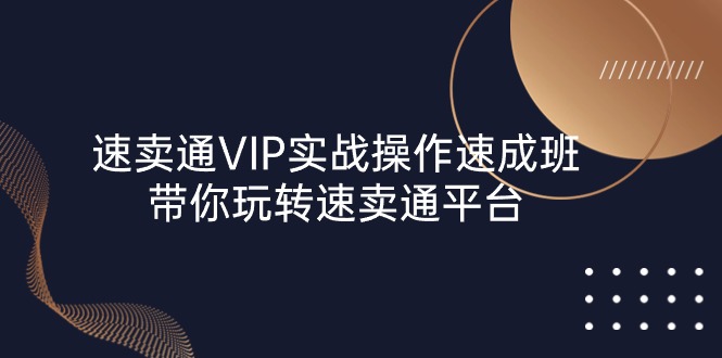 （10935期）速卖通 VIP实战操作-速成班，带你玩转速卖通平台（23节）-玩备项目资源网