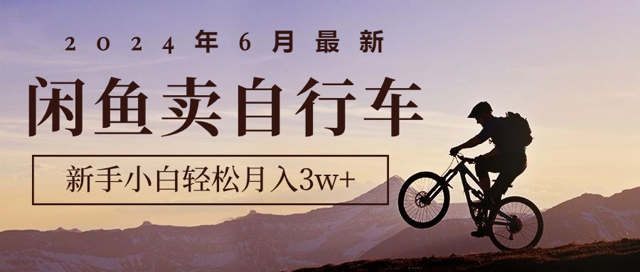 （10915期）2024年6月最新闲鱼卖自行车，新手小白轻松月入3w+项目-玩备项目资源网
