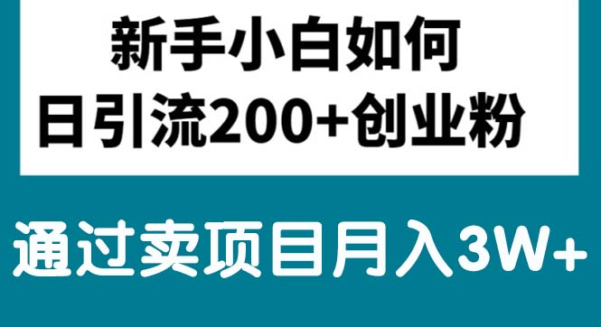 （10843期）新手小白日引流200+创业粉,通过卖项目月入3W+-玩备项目资源网