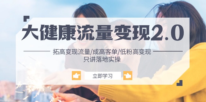 （10871期）大健康 流量 变现2.0：拓高变现 流量/成高客单/低粉高变现/只讲落地实战-玩备项目资源网