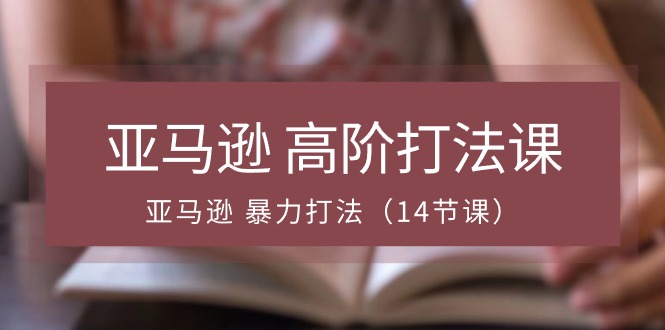 （10870期）亚马逊 高阶打法课，亚马逊 暴力打法（14节课）-玩备项目资源网