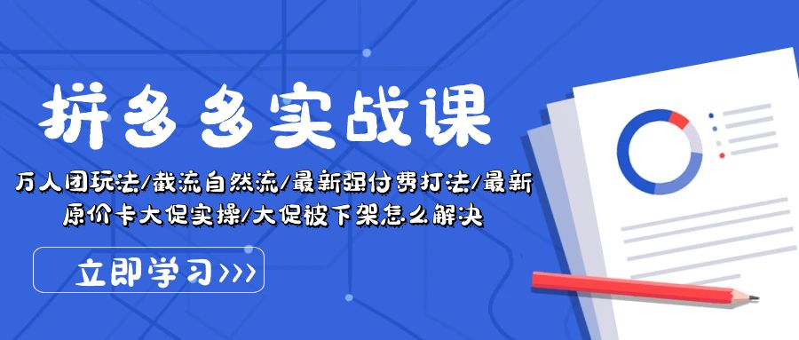 （10865期）拼多多·实战课：万人团玩法/截流自然流/最新强付费打法/最新原价卡大促..-玩备项目资源网