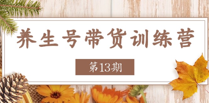 （11275期）养生号-带货训练营【第13期】收益更稳定的玩法，让你带货收益爆炸-玩备项目资源网