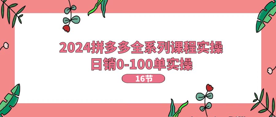 （11222期）2024拼多多全系列课程实操，日销0-100单实操【16节课】-玩备项目资源网