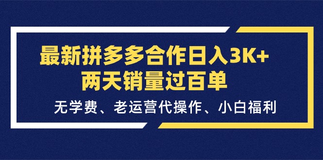 （11291期）最新拼多多合作日入3K+两天销量过百单，无学费、老运营代操作、小白福利-玩备项目资源网