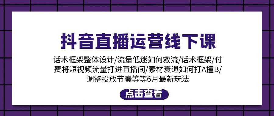 （11211期）抖音直播运营线下课：话术框架/付费流量直播间/素材A撞B/等6月新玩法-玩备项目资源网