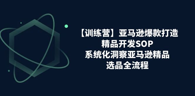 （11210期）【训练营】亚马逊爆款打造之精品开发SOP，系统化洞察亚马逊精品选品全流程-玩备项目资源网