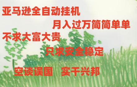 （11124期）亚马逊全自动浏览挂机-玩备项目资源网