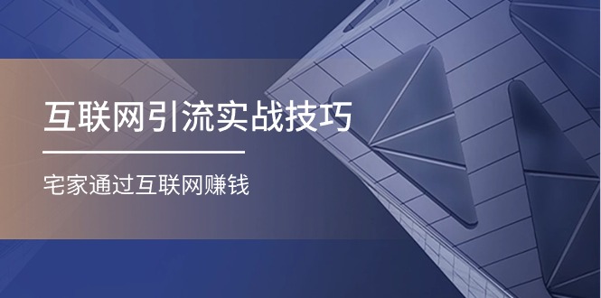 （11108期）互联网引流实操技巧(适合微商，吸引宝妈)，宅家通过互联网赚钱（17节）-玩备项目资源网
