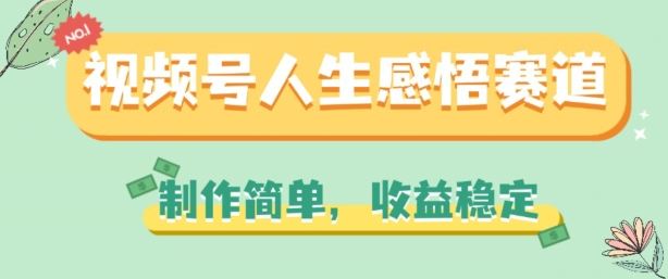 视频号人生感悟赛道，制作简单，收益稳定【揭秘】-玩备项目资源网