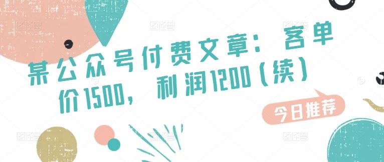 某公众号付费文章：客单价1500，利润1200(续)，市场几乎可以说是空白的-玩备项目资源网