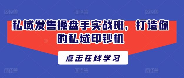 私域发售操盘手实战班，打造你的私域印钞机-玩备项目资源网