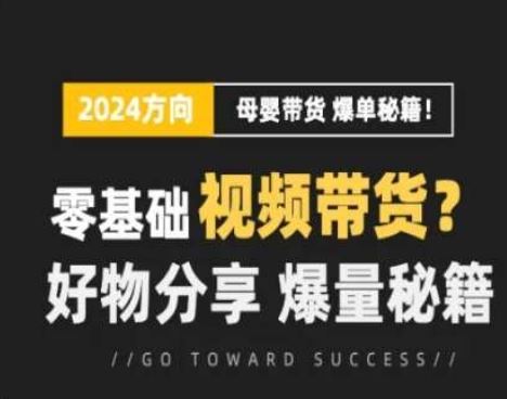 短视频母婴赛道实操流量训练营，零基础视频带货，好物分享，爆量秘籍-玩备项目资源网