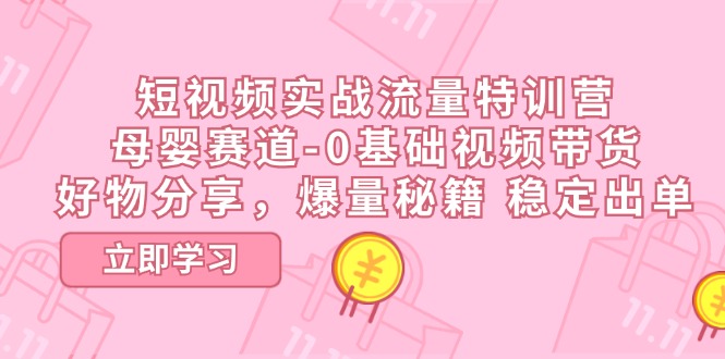 短视频实战流量特训营，母婴赛道-0基础带货，好物分享，爆量秘籍 稳定出单-玩备项目资源网