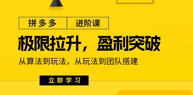 （11435期）拼多多·进阶课：极限拉升/盈利突破：从算法到玩法 从玩法到团队搭建-18节-玩备项目资源网