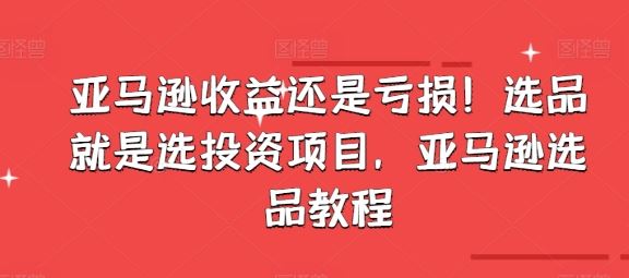 亚马逊收益还是亏损！选品就是选投资项目，亚马逊选品教程-玩备项目资源网