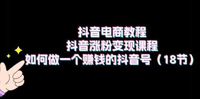 抖音电商教程：抖音涨粉变现课程：如何做一个赚钱的抖音号（18节）-玩备项目资源网