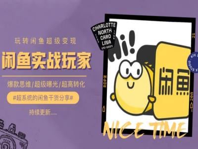 手把手教你0到1系统玩转闲鱼变现，爆款思维/超级曝光/超高转化-玩备项目资源网