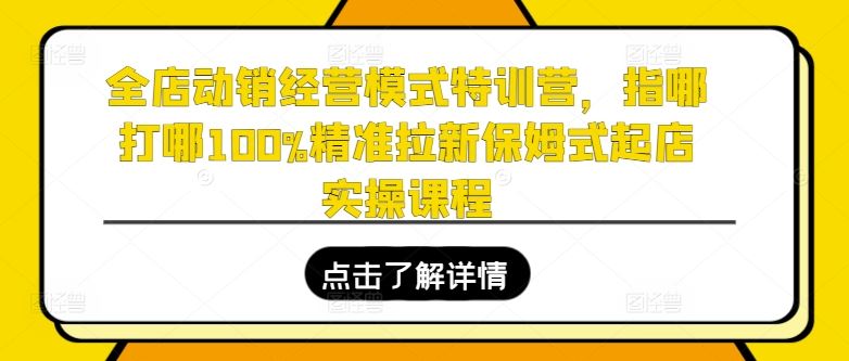 全店动销经营模式特训营，指哪打哪100%精准拉新保姆式起店实操课程-玩备项目资源网