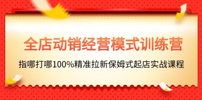 （11460期）全店动销-经营模式训练营，指哪打哪100%精准拉新保姆式起店实战课程-玩备项目资源网
