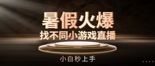 暑假火爆找不同小游戏直播间，小白秒上手【揭秘】-玩备项目资源网