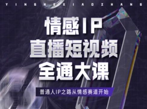 情感IP直播短视频全通大课，普通人IP之路从情感赛道开始-玩备项目资源网