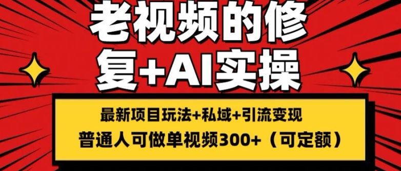 修复老视频的玩法，搬砖+引流的变现(可持久)，单条收益300+【揭秘】-玩备项目资源网