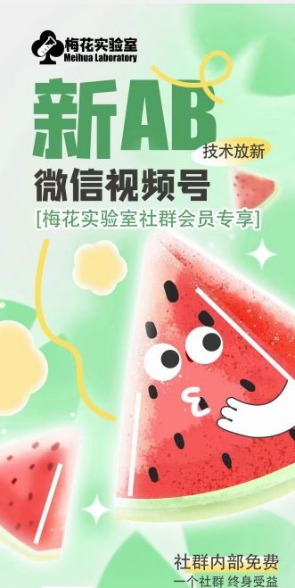 梅花实验室2024年AB技术视频号AB合成破解版-玩备项目资源网
