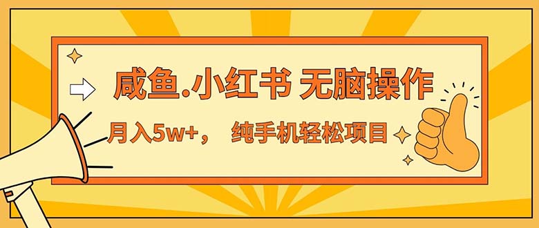 （11524期）2024最赚钱的项目，咸鱼，小红书无脑操作，每单利润500+，轻松月入5万+…-玩备项目资源网
