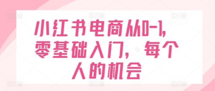 小红书电商从0-1，零基础入门，每个人的机会-玩备项目资源网