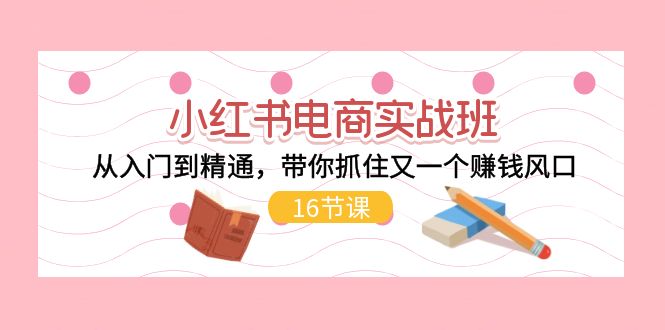 （11533期）小红书电商实战班，从入门到精通，带你抓住又一个赚钱风口（16节）-玩备项目资源网
