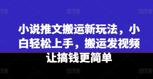 小说推文搬运新玩法，小白轻松上手，搬运发视频让搞钱更简单-玩备项目资源网