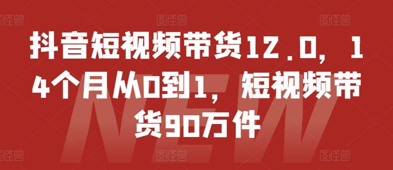 抖音短视频带货12.0，14个月从0到1，短视频带货90万件-玩备项目资源网