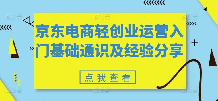 京东电商轻创业运营入门基础通识及经验分享-玩备项目资源网