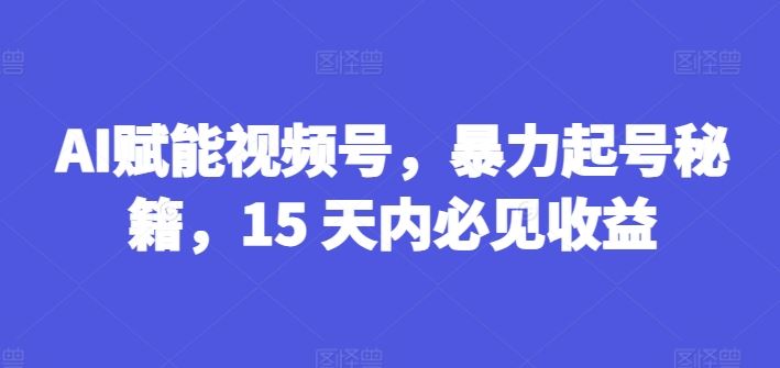 AI赋能视频号，暴力起号秘籍，15 天内必见收益【揭秘】-玩备项目资源网