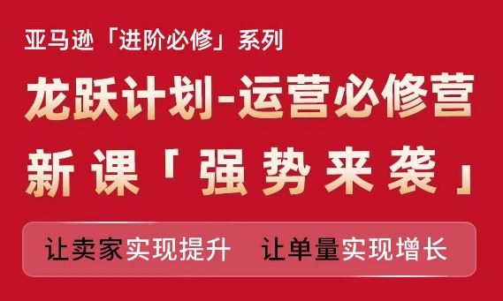 亚马逊进阶必修系列，龙跃计划-运营必修营新课，让卖家实现提升 让单量实现增长-玩备项目资源网