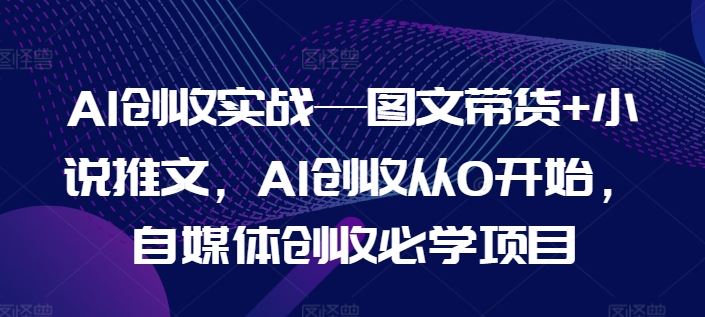 AI创收实战—图文带货+小说推文，AI创收从0开始，自媒体创收必学项目-玩备项目资源网