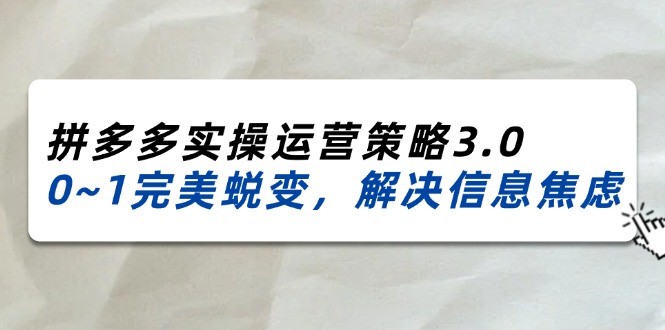 （11658期）2024_2025拼多多实操运营策略3.0，0~1完美蜕变，解决信息焦虑（38节）-玩备项目资源网