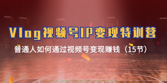 Vlog视频号IP变现特训营，普通人如何通过视频号变现赚钱（15节）-玩备项目资源网