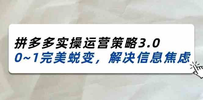 2024-2025拼多多实操运营策略3.0，0~1完美蜕变，解决信息焦虑（38节）-玩备项目资源网