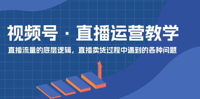 （11687期）视频号 直播运营教学：直播流量的底层逻辑，直播卖货过程中遇到的各种问题-玩备项目资源网