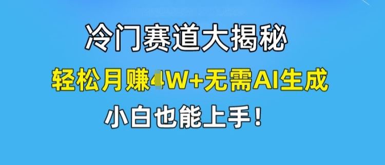 冷门赛道大揭秘，轻松月赚1W+无需AI生成，小白也能上手【揭秘】-玩备项目资源网