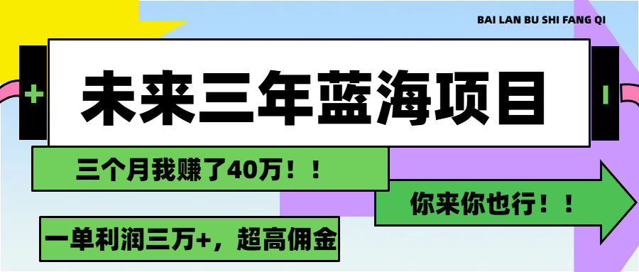 （11716期）未来三年，蓝海赛道，月入3万+-玩备项目资源网