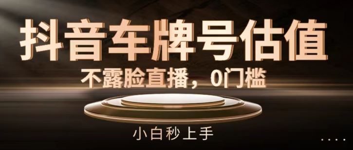 抖音车牌号估值，不露脸直播，0门槛，小白秒上手【揭秘】-玩备项目资源网