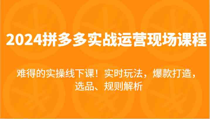 2024拼多多实战运营现场课，实时玩法，爆款打造，选品、规则解析，难得的实操线下课！-玩备项目资源网
