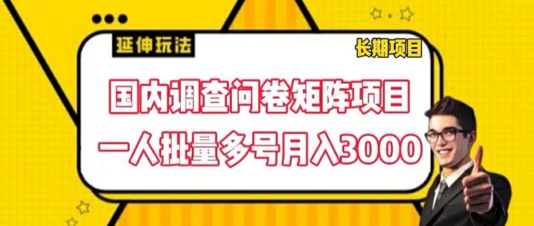 国内调查问卷矩阵项目，一人批量多号月入3000【揭秘】-玩备项目资源网