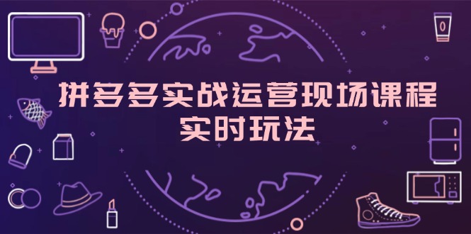（11759期）拼多多实战运营现场课程，实时玩法，爆款打造，选品、规则解析-玩备项目资源网